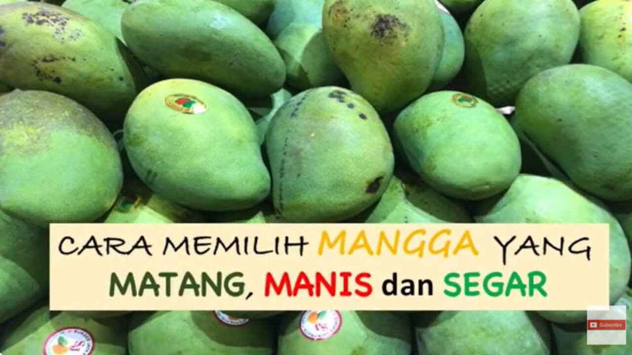 Musim Mangga! Ini 10 Tips Memilih Mangga yang Matang dan Manis