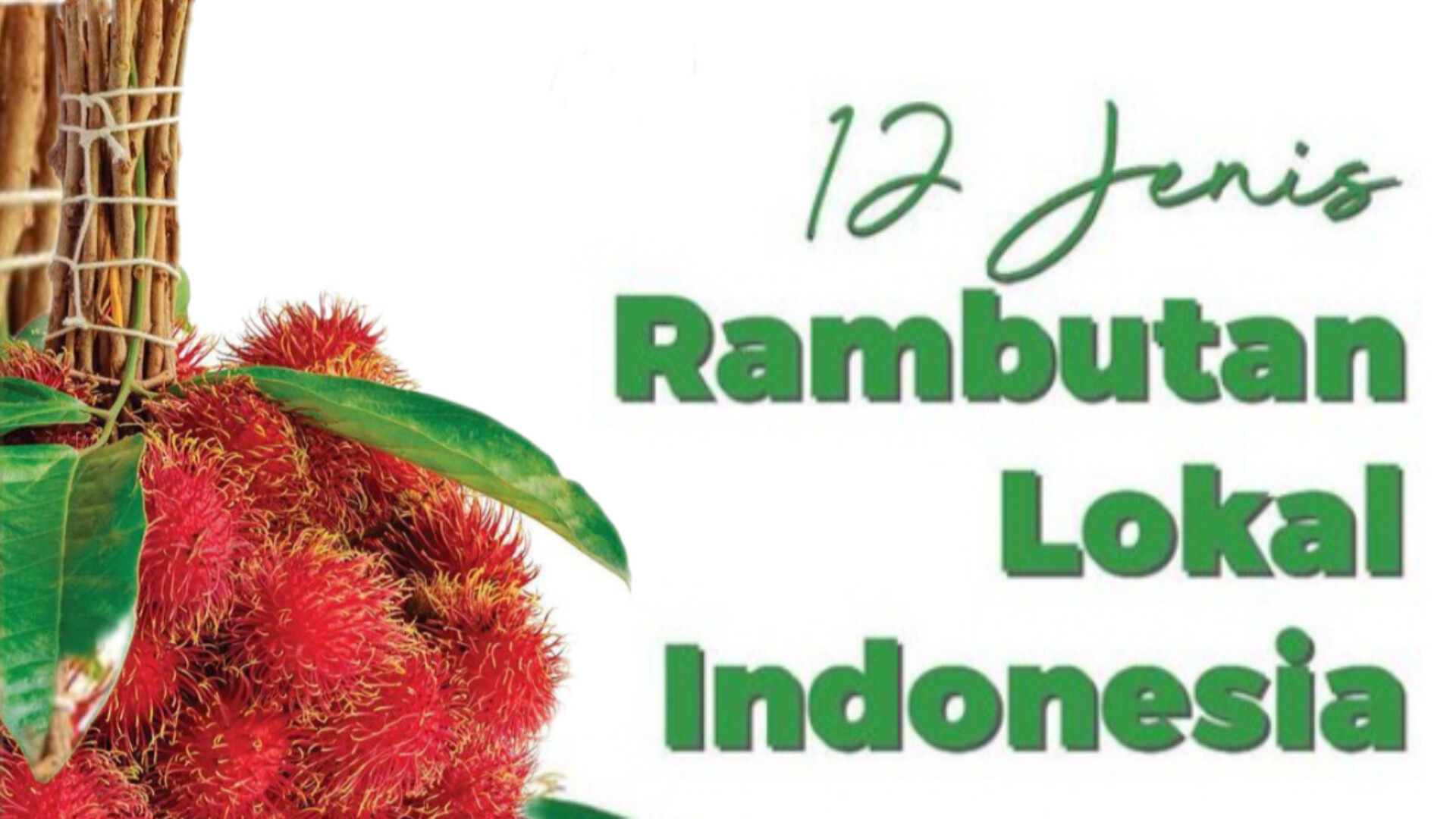 12 Jenis Rambutan Lokal Indonesia, Yang Mana Favoritmu?