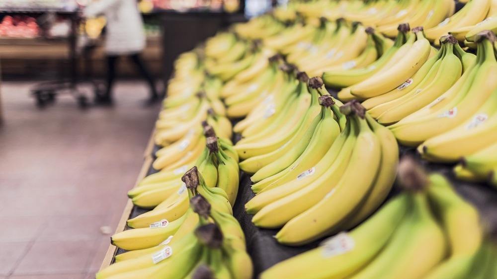 10 Daerah Penghasil Pisang di Indonesia. Ada Daerahmu?