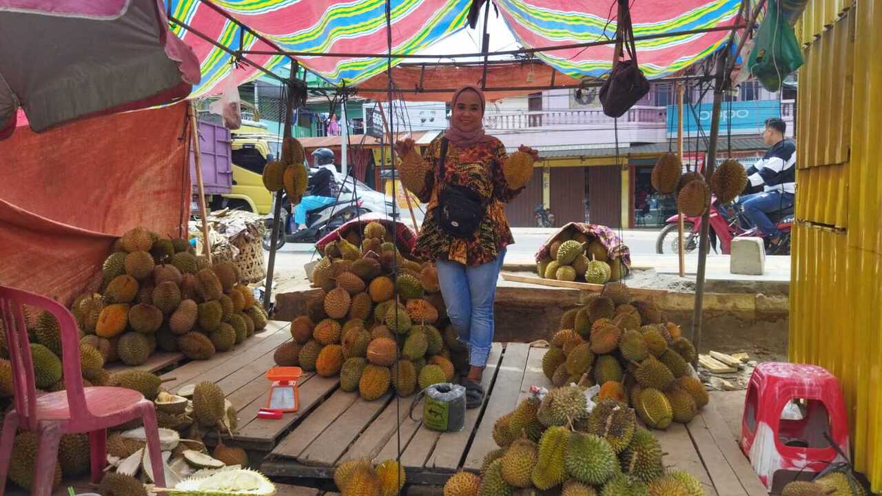 Durian Linggau Serbu Pangkalan Balai! Wangi, Legit, dan Murah Meriah!