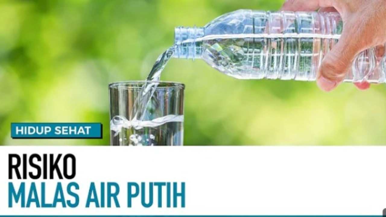 Jangan Malas Minum Air Putih, Ini Risikonya untuk Kesehatan