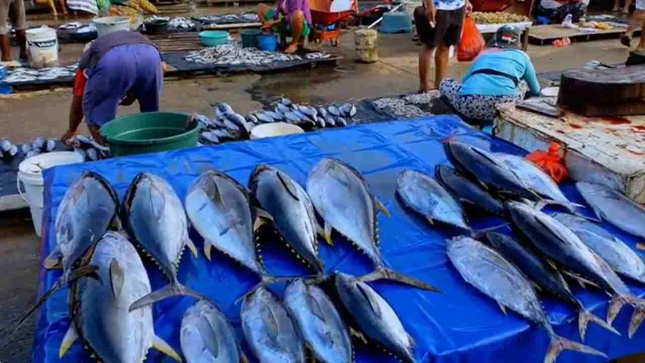 Waspada! 5 Ikan dengan Kandungan Merkuri Tinggi yang Wajib Dicek Sebelum Dibeli