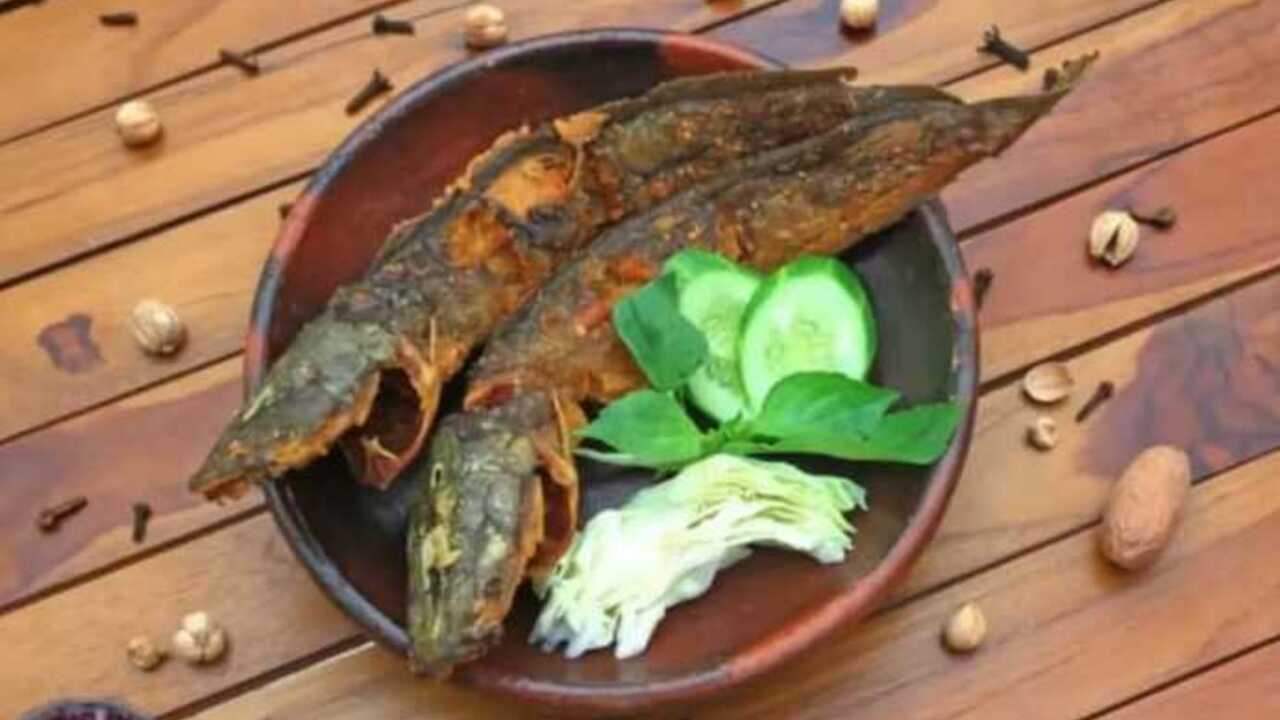 Konsumsi Ikan Lele Saat Hamil Optimalkan Perkembangan Otak dan Sistem Saraf Janin