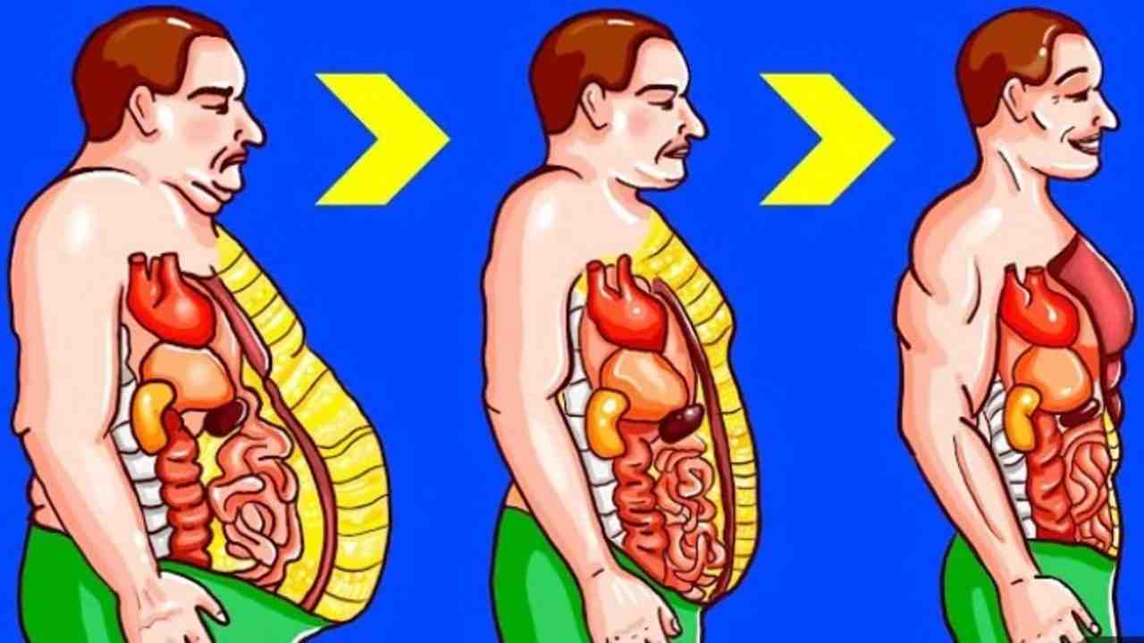 Ingin Perut Rata? Ini Cara Paling Cepat dan Ampuh Mengecilkan Perut Buncit