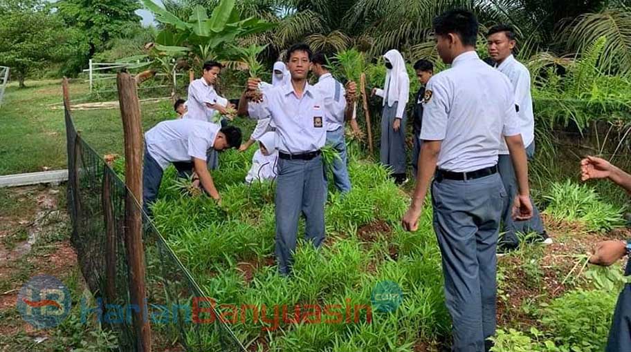 Realisasikan P5 SMAN 1 Sembawa Manfaatkan Lahan tidak Produktif 