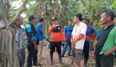 Habitat Buaya Terganggu, Ini Nama-Nama Wilayah di Banyuasin yang Rawan Buaya