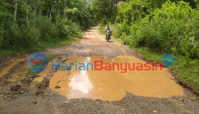 Banyak Titik Kerusakan, Warga Harapkan Perbaikan Jalan Penghubung Desa