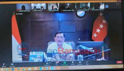 Harian Banyuasin Webinar Bersama Menko Marves