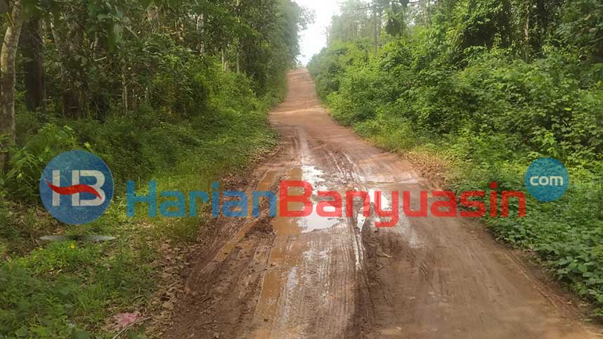 Minim Penerangan, Jalan Petaling-Lubuk Lancang Diharapkan Ada Perbaikan