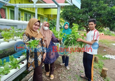 SMKN 1 Banyuasin III Panen Sayur