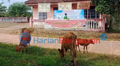 Pemilik Ternak Diharapkan Patuhi Aturan Sebelum Ditindak Tegas