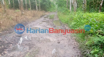 Permudah Masyarakat Angkut Hasil Pertanian, Pemdes Muara Damai Usulkan Pembagunan Jalan Usaha Tani