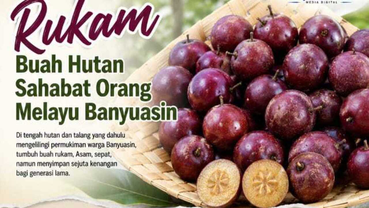 Rukam, Buah Liar Hilang tak Berkesan