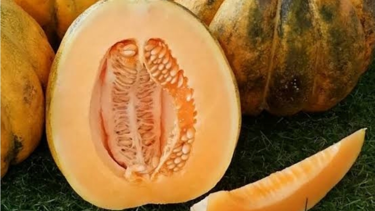 Blewah, Buah Segar yang Bantu Jaga Tekanan Darah dan Kesehatan Jantung