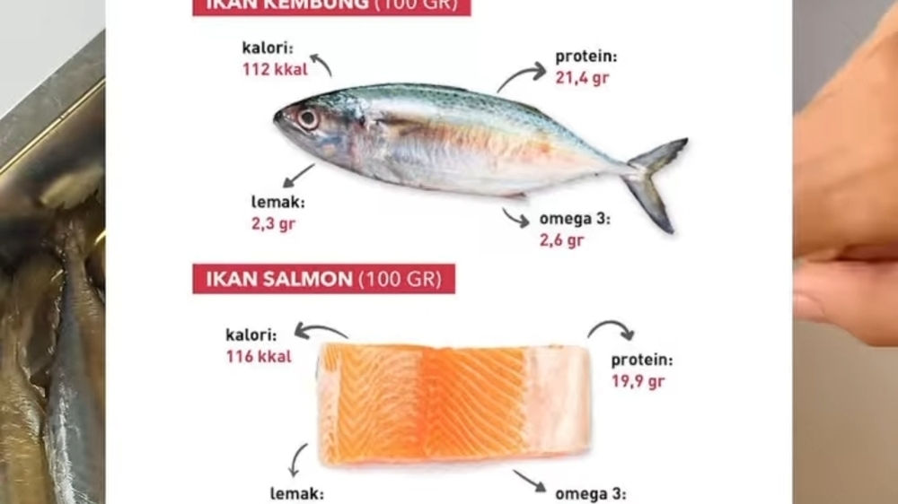 Ikan Salmon vs. Ikan Kembung: Memilih yang Terbaik untuk Kesehatan Anda