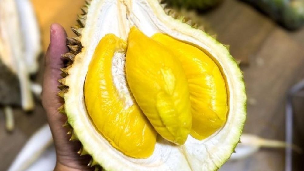 Rahasia Memilih Durian yang Matang, Pedagang Ungkap 6 Tips Jitu untuk Penikmat si Raja Buah