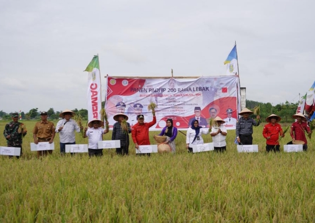 Produktivitas Beras Banyuasin Meningkat, Ini Pesan Anggota DPRD Banyuasin kepada Petani