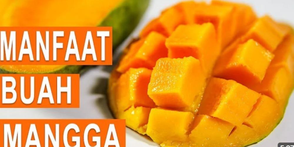 Manfaat Dahsyat Mangga, Superfood Tropis yang Wajib Kamu Coba!