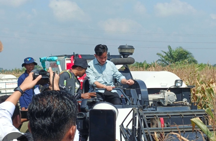 Bupati Banyuasin Askolani Panen Raya Jagung Bersama Wapres RI Gibran 