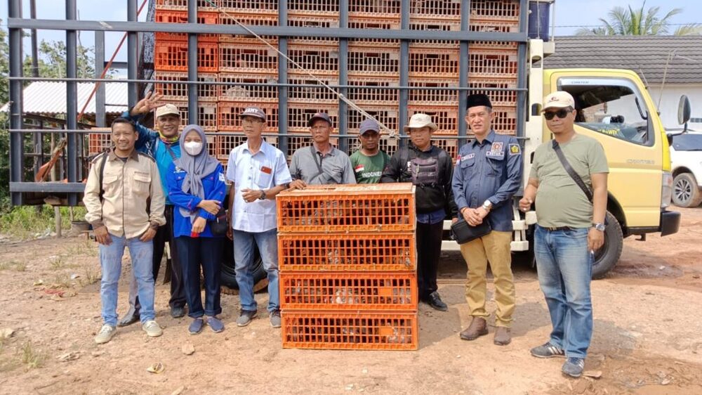 Tingkatkan Perekonomian di Desa, Ketua DPRD Banyuasin Serahkan Bantuan Ayam Kampung