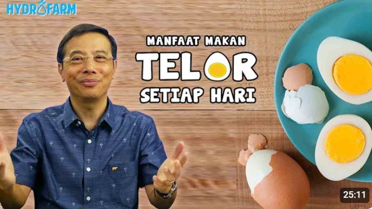 Kamu Suka Makan Telur? Yuk Simak 7 Manfaatnya