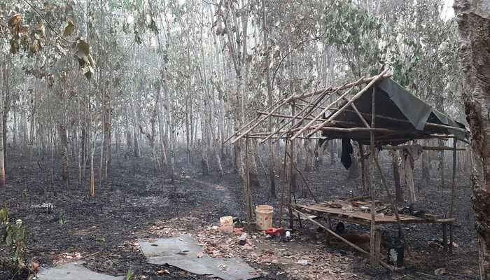 70 Hektar Kebun Karet di Rambutan Banyuasin Terbakar, Ini Tanggapan Disbunnak Banyuasin