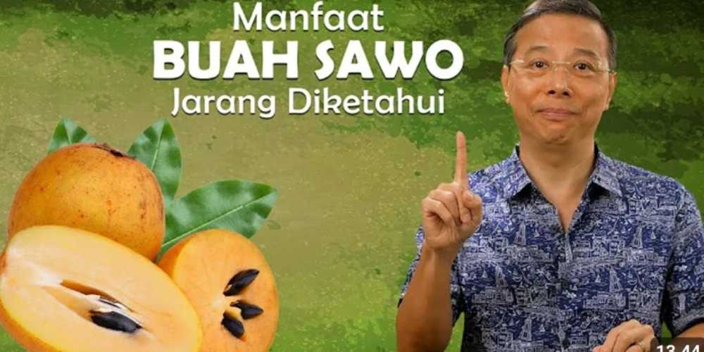 Si Manis Sawo, Buah Sederhana, Segudang Manfaat