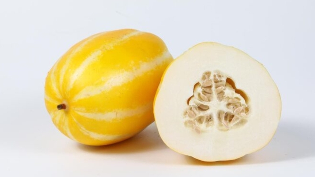 Blewah, Buah Segar Kaya Manfaat untuk Kesehatan Tubuh