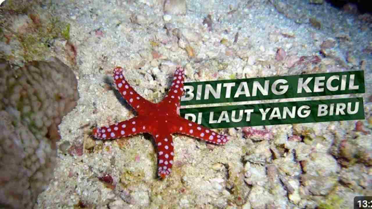 Menakjubkan! Bintang Laut dan Kemampuan Regenerasi Ekstrimnya