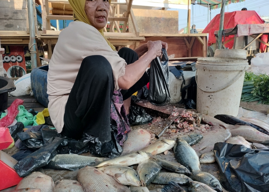 Ikan Sungai di Pasar Pangkalan Balai Lengkap di hari ini, Harga Bervariasi!