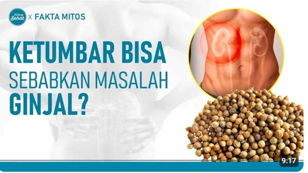 Hati-Hati! Ketumbar Kebanyakan Bisa Ganggu Kesehatan Ginjal, Ini Penjelasannya!