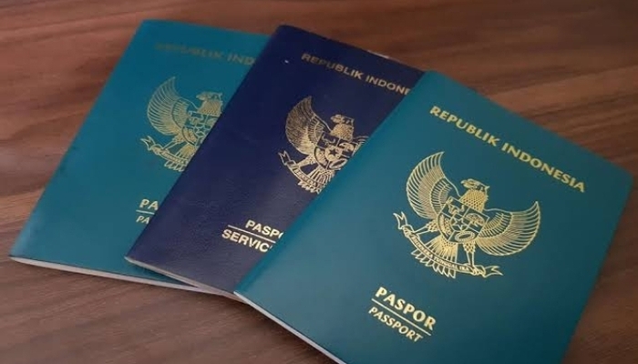 Kenapa Warna Paspor di Indonesia Berbeda-beda? Simak Kegunaan dan Pemegangnya 