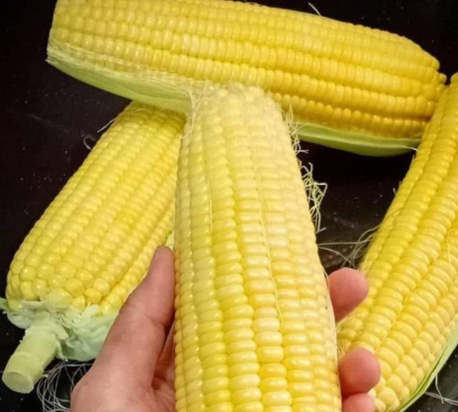 Jelang Tahun Baru, Penjualan Jagung Laris Manis