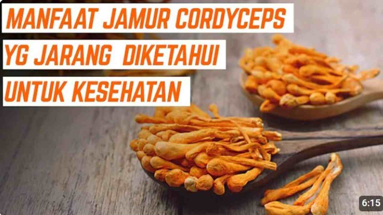 Jamur Cordyceps, Si Kecil dengan Segudang Manfaat untuk Kesehatan