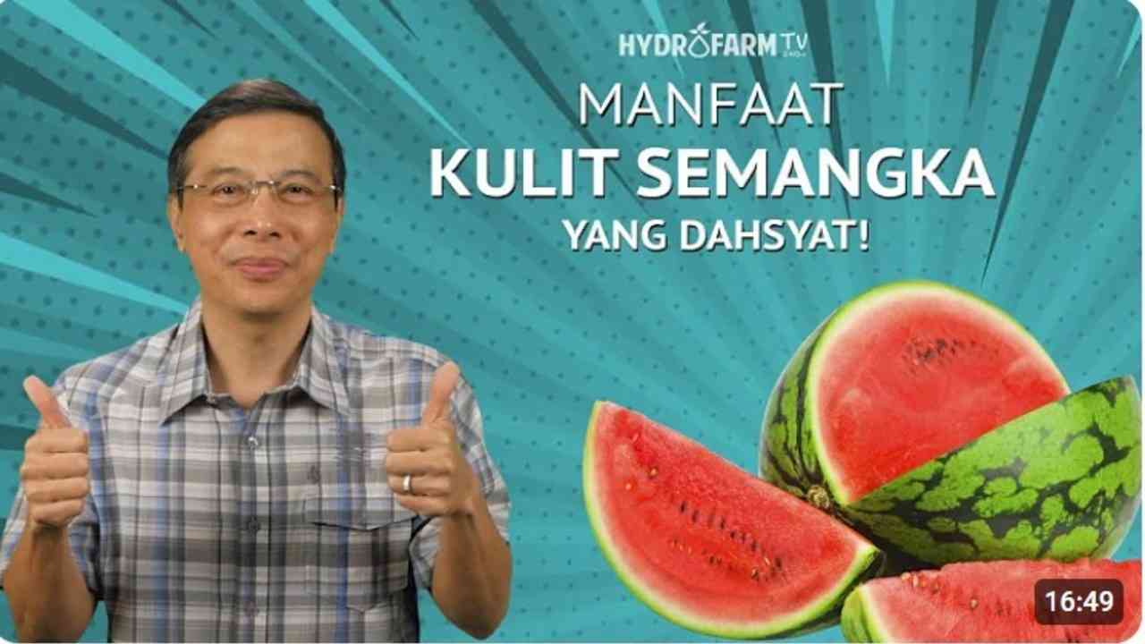 Suka Makan Semangka? Yuk, Intip 5 Manfaat Tersembunyi yang Baik buat Tubuhmu!