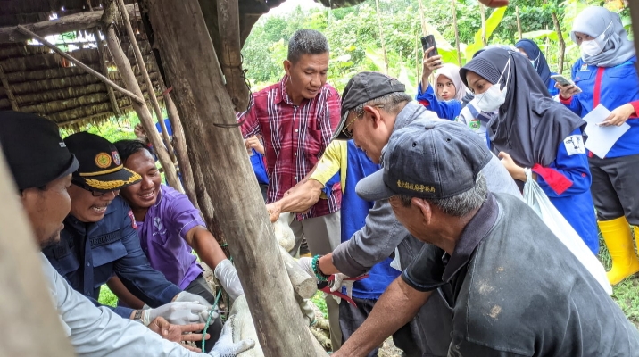 Di Banyuasin, 11.711 Ekor Sapi Sudah Divaksin