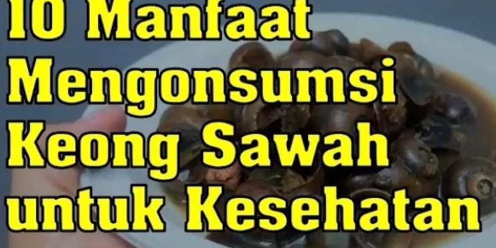 Keong Sawah, Dari Hama Jadi Manfaat! Intip 10 Keunggulannya untuk Kesehatan & Lingkungan