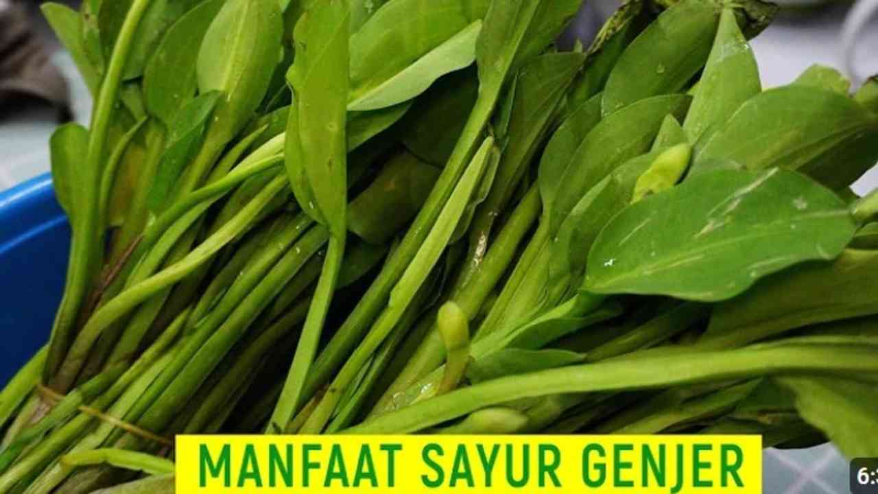  Menyimak 7 Manfaat Genjer untuk Kesehatan yang Mungkin Belum Anda Ketahui