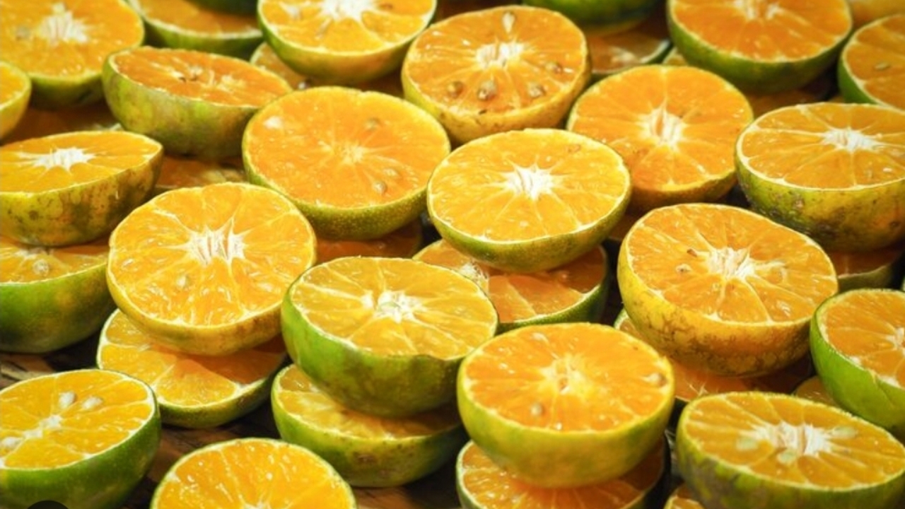 Jeruk Sonkit dan Manfaatnya untuk Menjaga Kesehatan Jantung