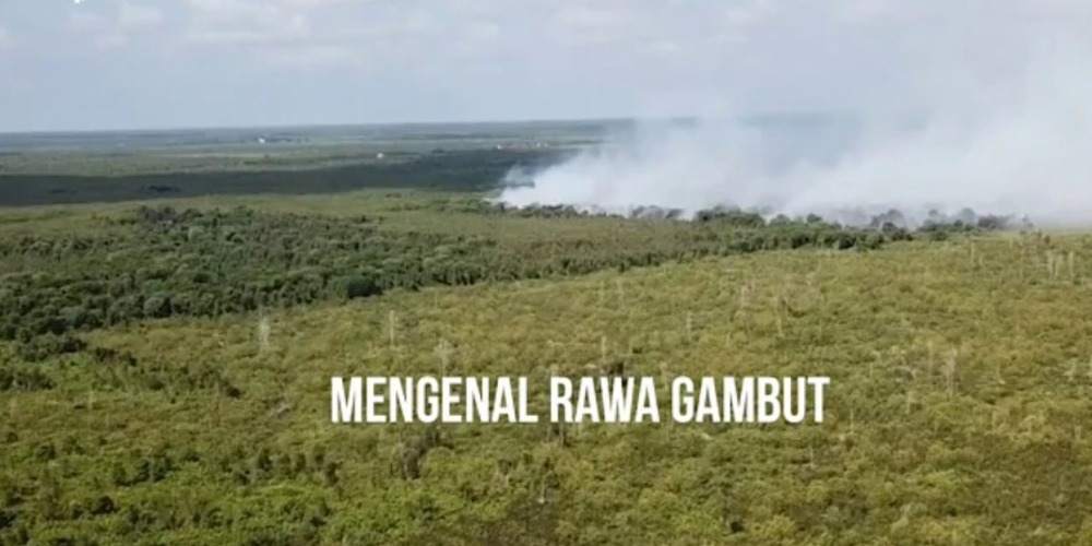 Waspada! Ancaman Hutan Rawan Gambut dan Solusi Ampuhnya