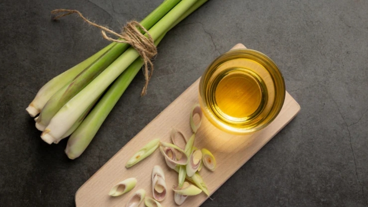 Tak Perlu Obat Nyamuk! Serai Wangi Jadi Solusi Alami yang Efektif