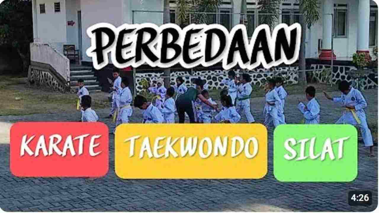 Karate, Taekwondo, atau Silat? Temukan Perbedaan dan Keunikan Tiga Seni Bela Diri Dunia yang Keren!