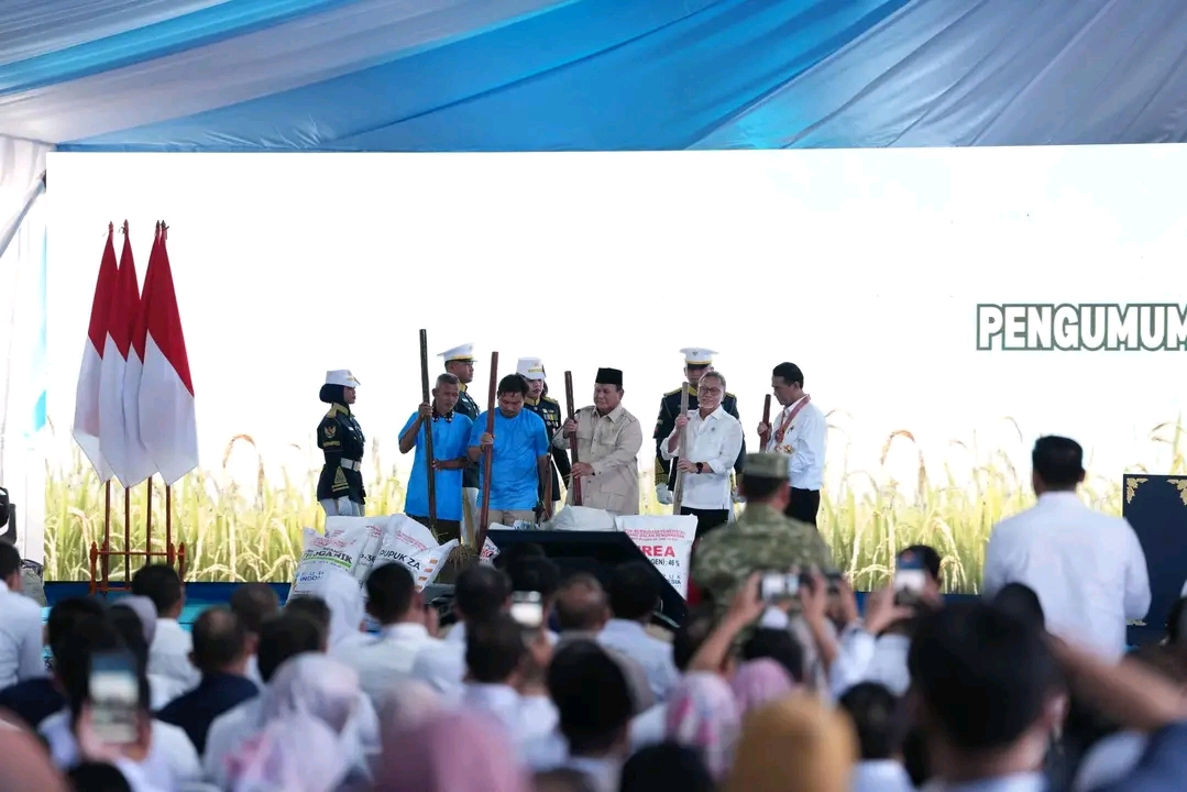 Banyuasin Kokoh di Puncak Nasional, Daerah dengan Produksi Beras Tertinggi di Indonesia