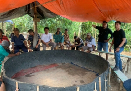 Gerebek Sabung Ayam, 14 Pelaku Diamankan