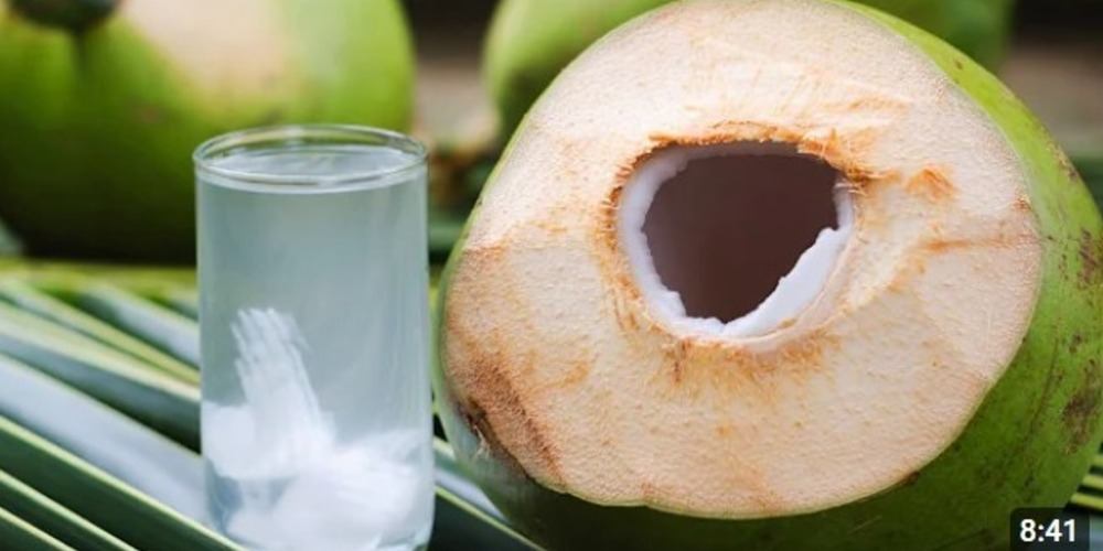 Air Kelapa, Minuman Alami yang Bikin Kamu Tahu Segudang Manfaatnya!