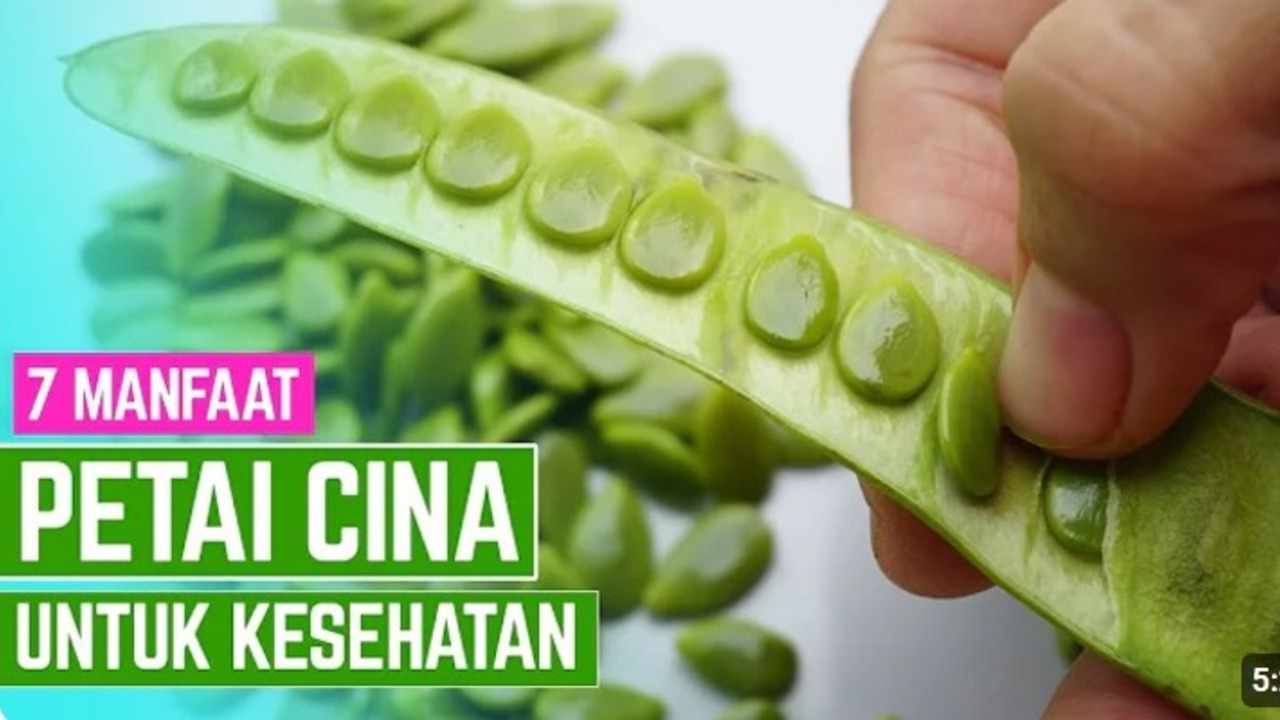 Tak Disangka! 7 Khasiat Petai Cina bagi Kesehatan yang Perlu Anda Ketahui