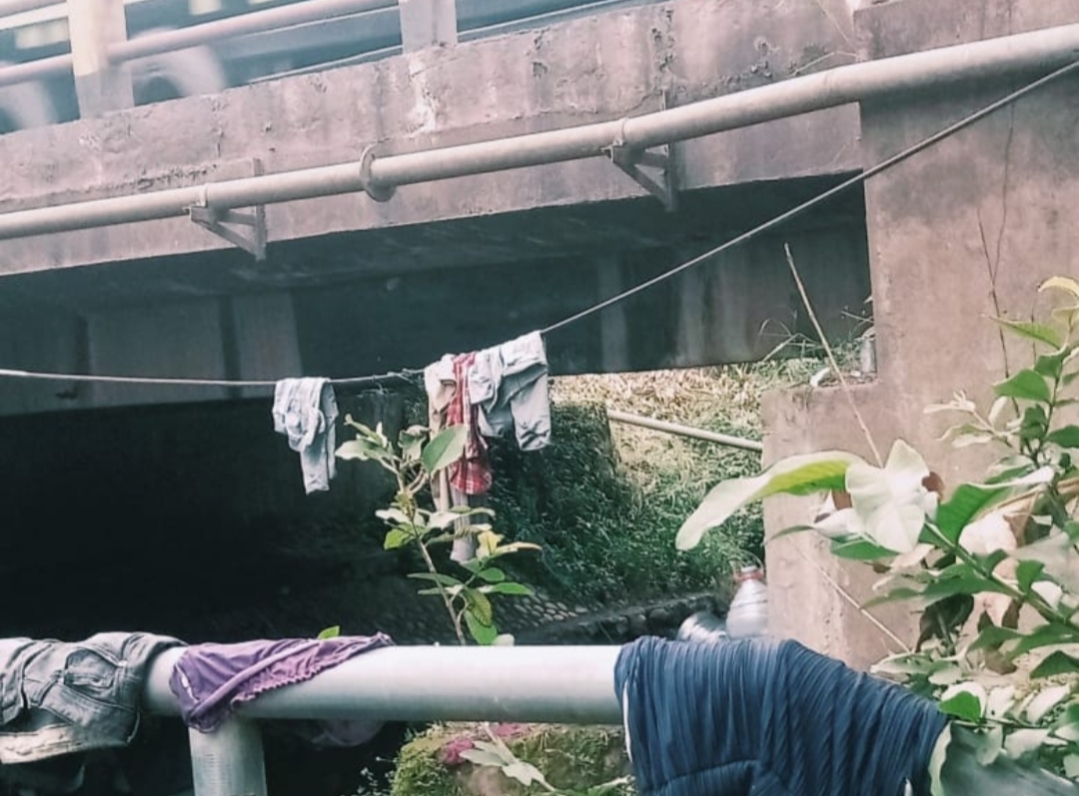 Anak Punk Bermukim di Bawah Jembatan Suak Bara Banyuasin Resahkan Warga, Kerja Dinsos Banyuasin Disorot!