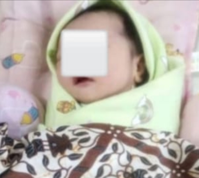 Heboh! 1 Jam Dilahirkan Bayi Perempuan Ini Dibuang di Kebun Sawit