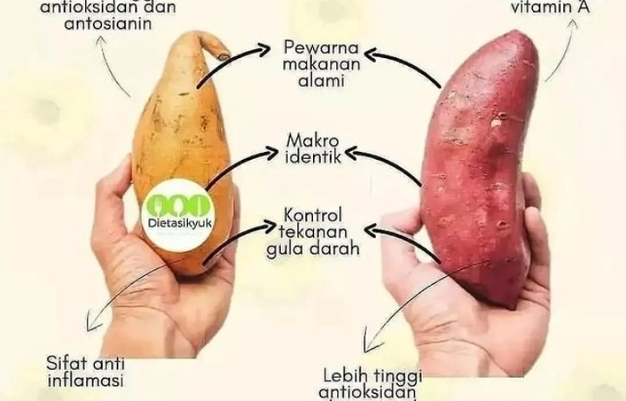 Pilihan Sehat untuk Program Dietmu: Ubi Ungu dan Ubi Kuning, Mana yang Lebih Cocok?