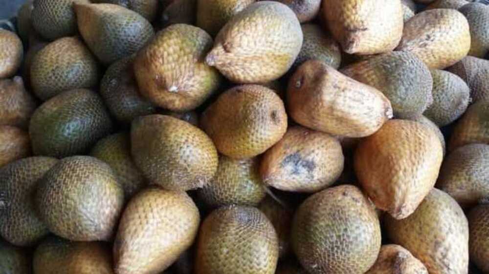 Di Luar Negeri Dikenal dengan Sebutan Buah Ular, Ternyata Salak Mempunyai 10 Manfaat ini